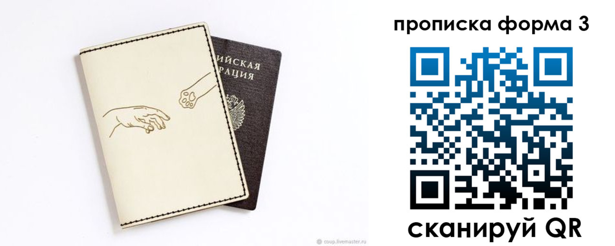где прописаться в Курской области